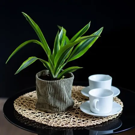 Metro Mlynow Wola Dlugosza By Renters وارسو